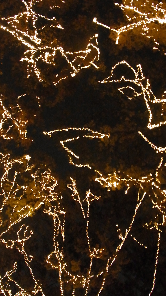 e0206828_23521182.jpg