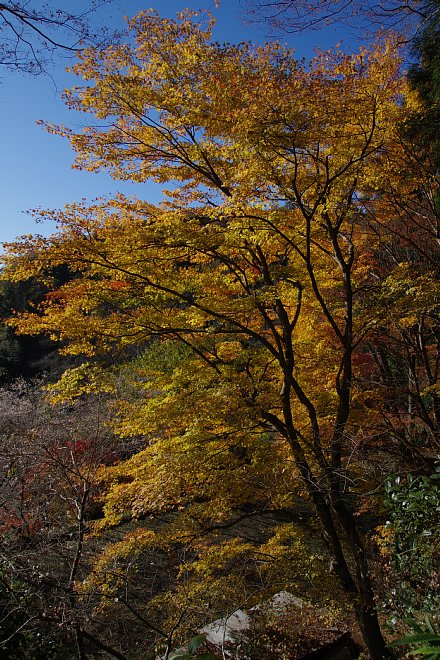 b0134829_21373825.jpg