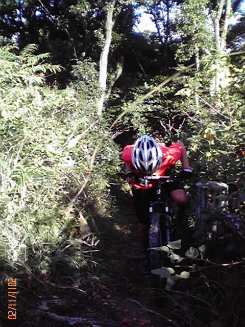b0222530_1083938.jpg