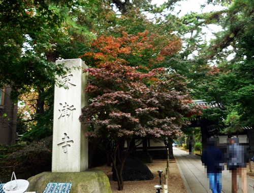 d0037233_1431155.jpg