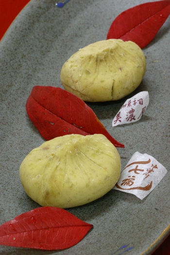 c0134734_17362053.jpg