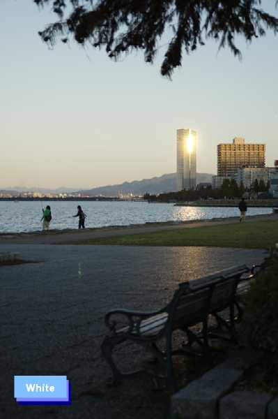 c0227134_22552979.jpg