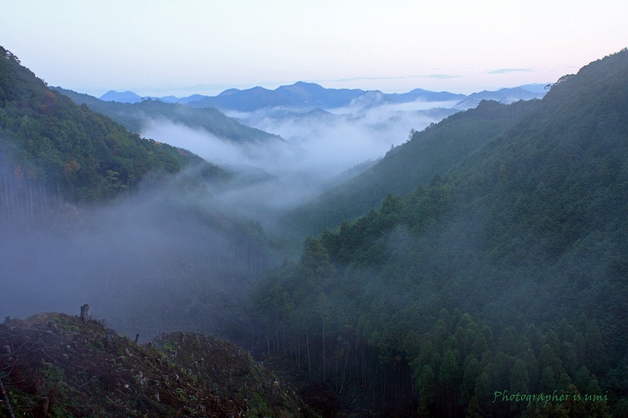 e0083238_20593722.jpg