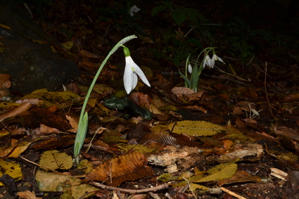 e0228938_201195.jpg