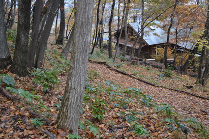 e0228938_207651.jpg
