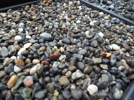 e0126548_11191677.jpg