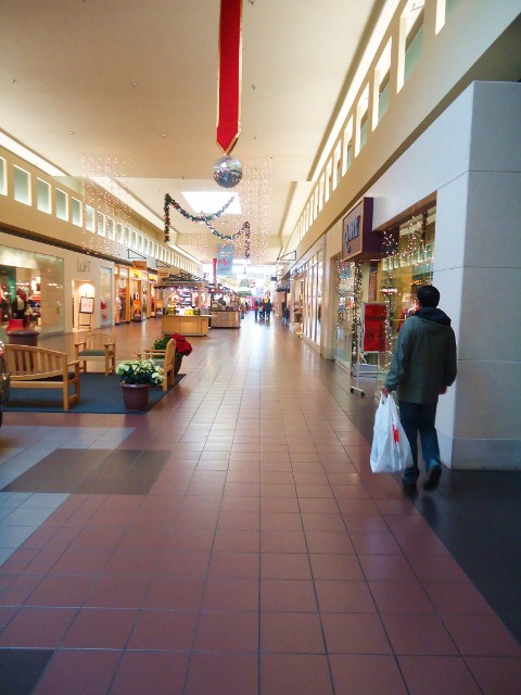 d0172957_1265595.jpg