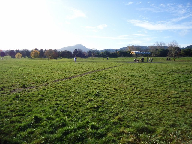 d0172957_1291780.jpg