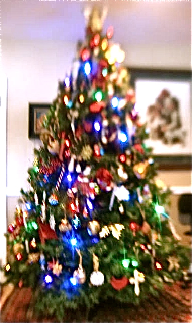 b0207361_113161.jpg