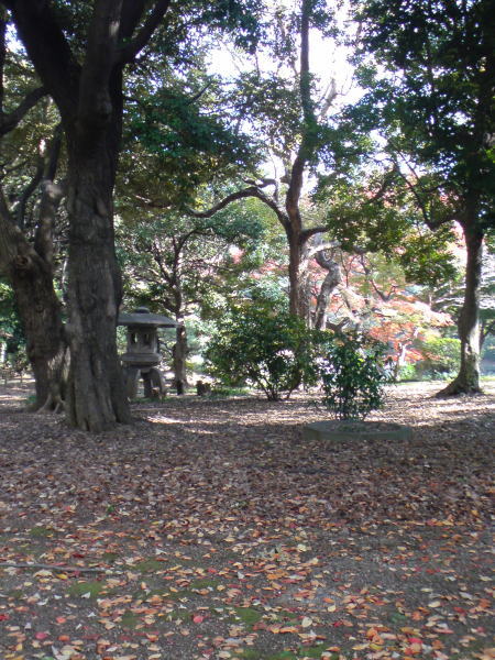 e0153367_15575769.jpg
