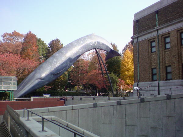 e0153367_1602422.jpg