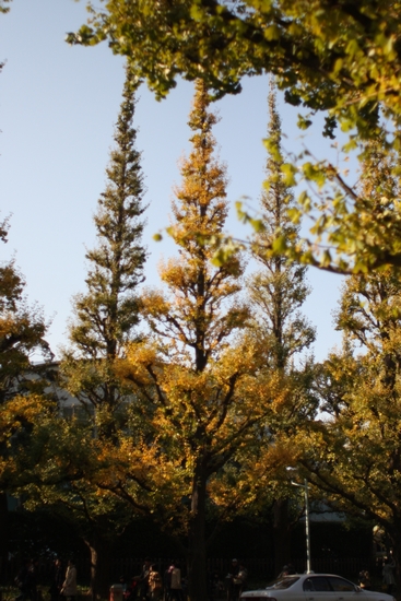 b0069169_0172123.jpg