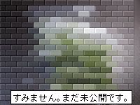 f0134669_0224648.jpg