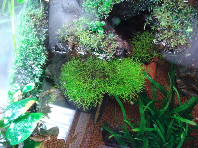 b0022570_23135370.jpg