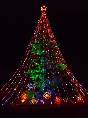 f0123373_8392959.jpg