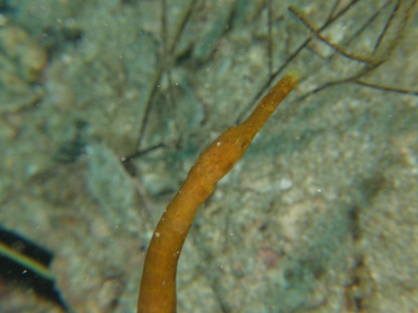 f0200373_14551231.jpg