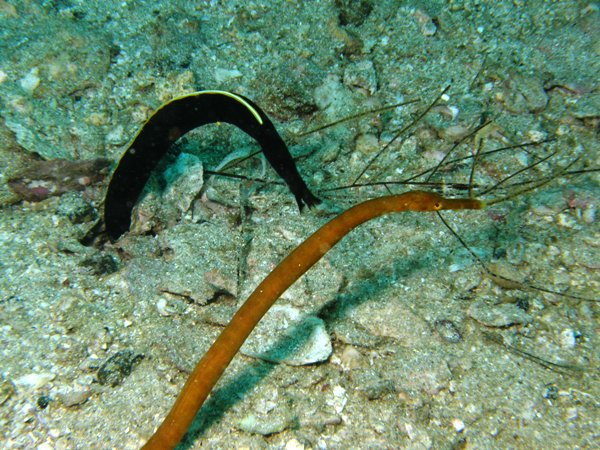 f0200373_145771.jpg