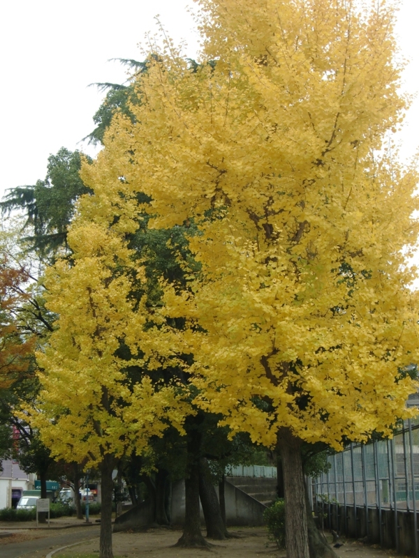 f0238779_18321490.jpg