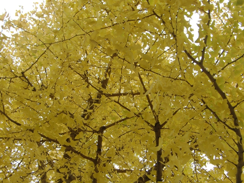 f0238779_18342742.jpg
