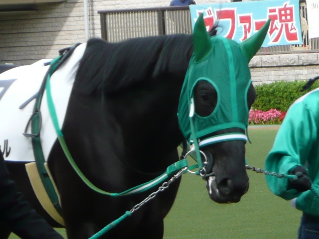 a0036685_2338527.jpg