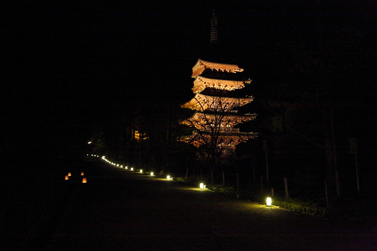 e0051888_5485880.jpg