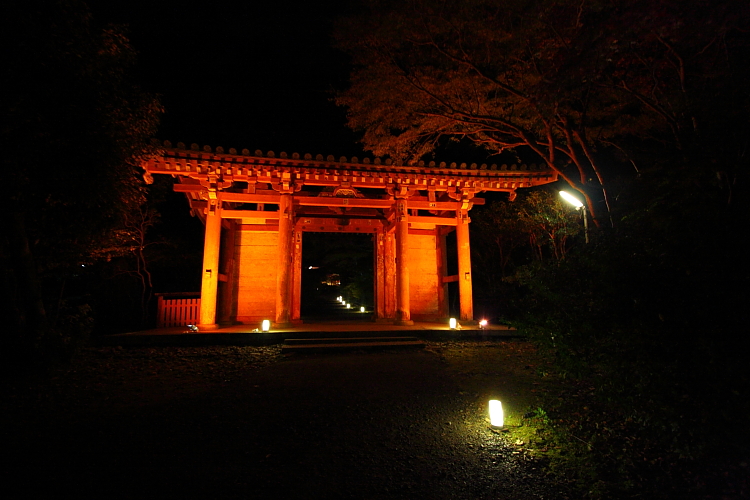 e0051888_5502441.jpg