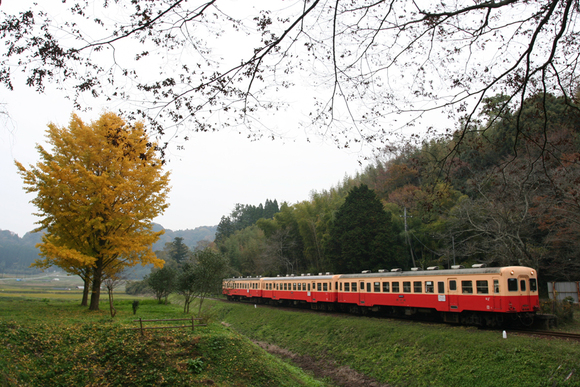 f0089592_12101328.jpg