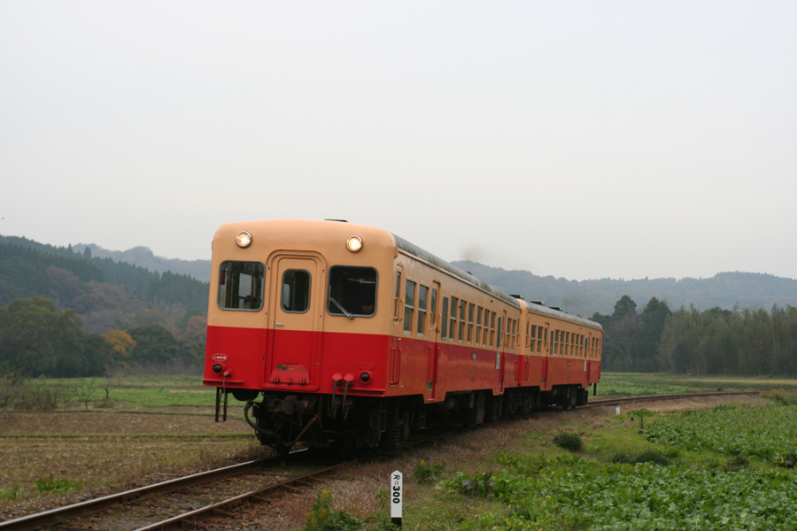f0089592_12102675.jpg