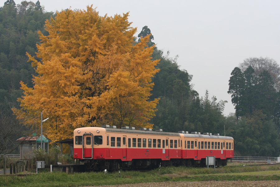f0089592_1210721.jpg