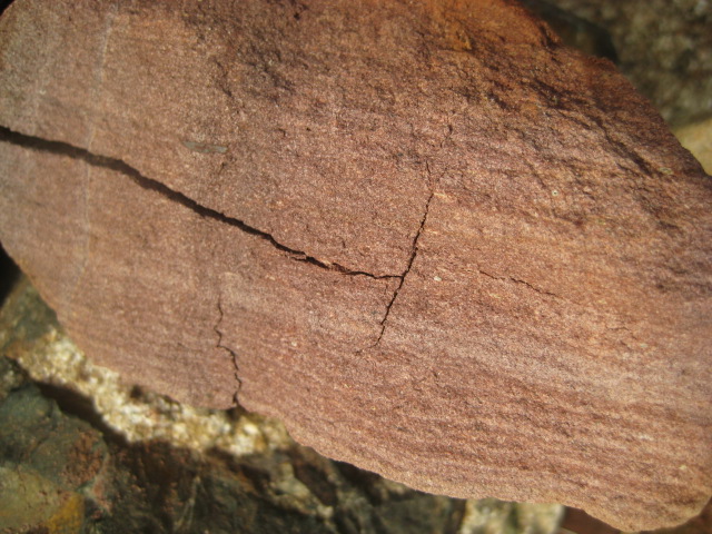 a0193698_18391444.jpg
