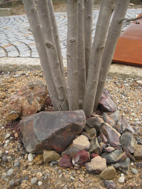 a0193698_18483277.jpg