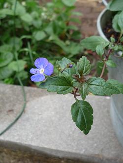 e0234004_17135659.jpg