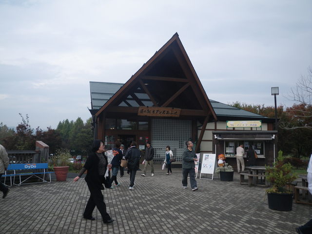 a0116205_1018566.jpg