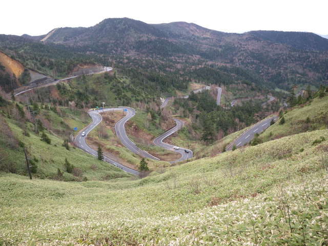 a0116205_10232757.jpg