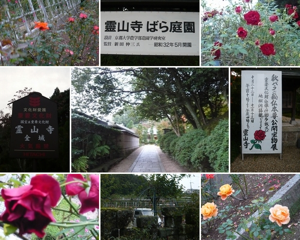 f0221708_23311933.jpg