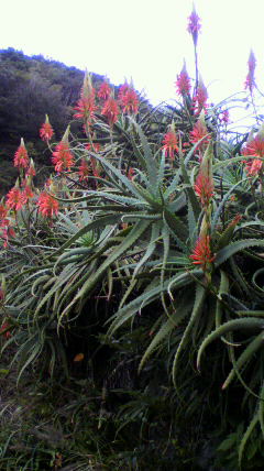 d0237309_2315265.jpg