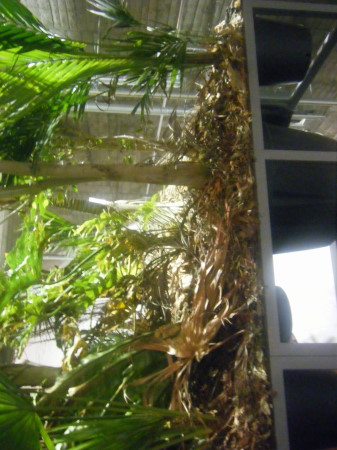 f0151809_161254.jpg