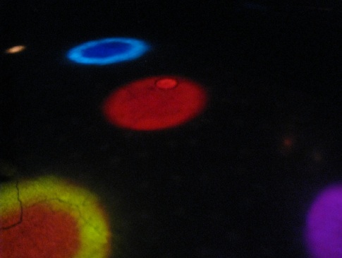 f0110713_14543626.jpg