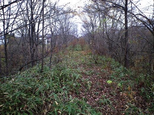 e0062415_17121910.jpg