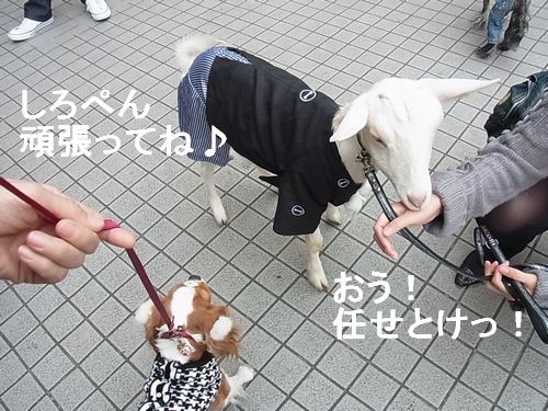 f0214121_22211812.jpg