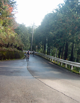 d0070327_10472396.jpg