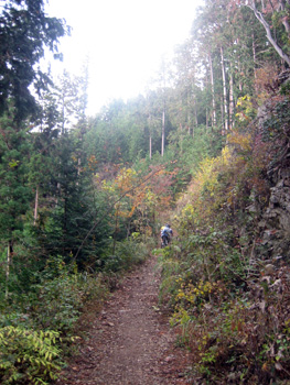 d0070327_10532251.jpg