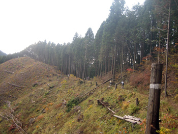 d0070327_112568.jpg