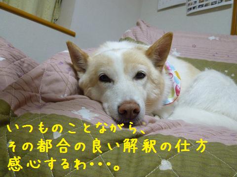 b0138430_1023082.jpg