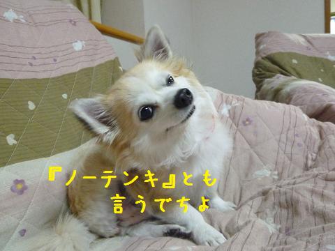 b0138430_10242565.jpg