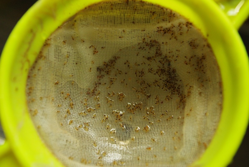 e0204830_154344.jpg