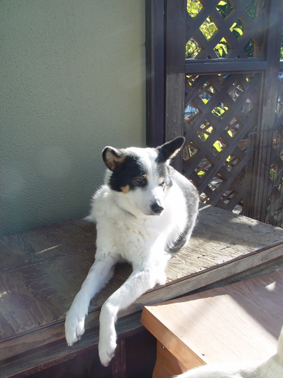 f0060535_947775.jpg