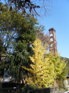 b0096440_18203048.jpg