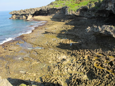 d0167041_964575.jpg