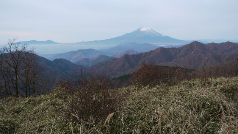 b0190242_13101558.jpg